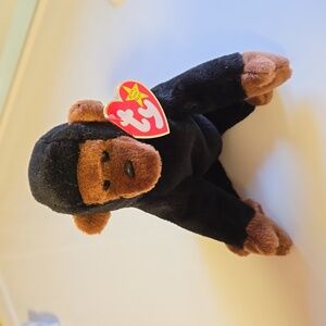 TY Beanie Baby- Congo
